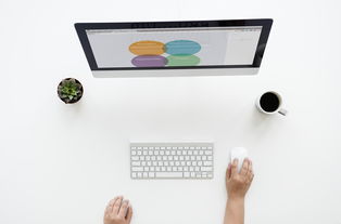 WPS2019官方下载：免费获取高效办公软件，轻松解决文档解决需求