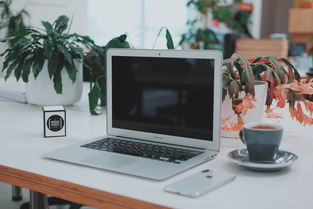 WPS精简版下载:告别卡顿,享受轻快办公新体验