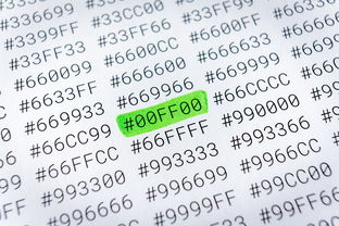 WPS绿色版下载全攻略:安全获取与使用指南,告别卡顿烦恼