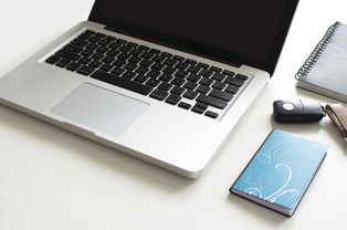 WPS2019免费下载官方指南:安全获取正版办公软件,告别Office高额费用